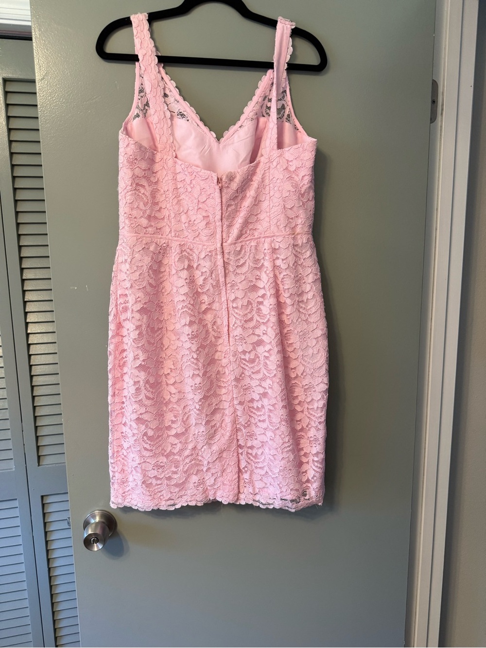 David's Bridal Light Pink Lace Slip Dress - Picture 2 of 4